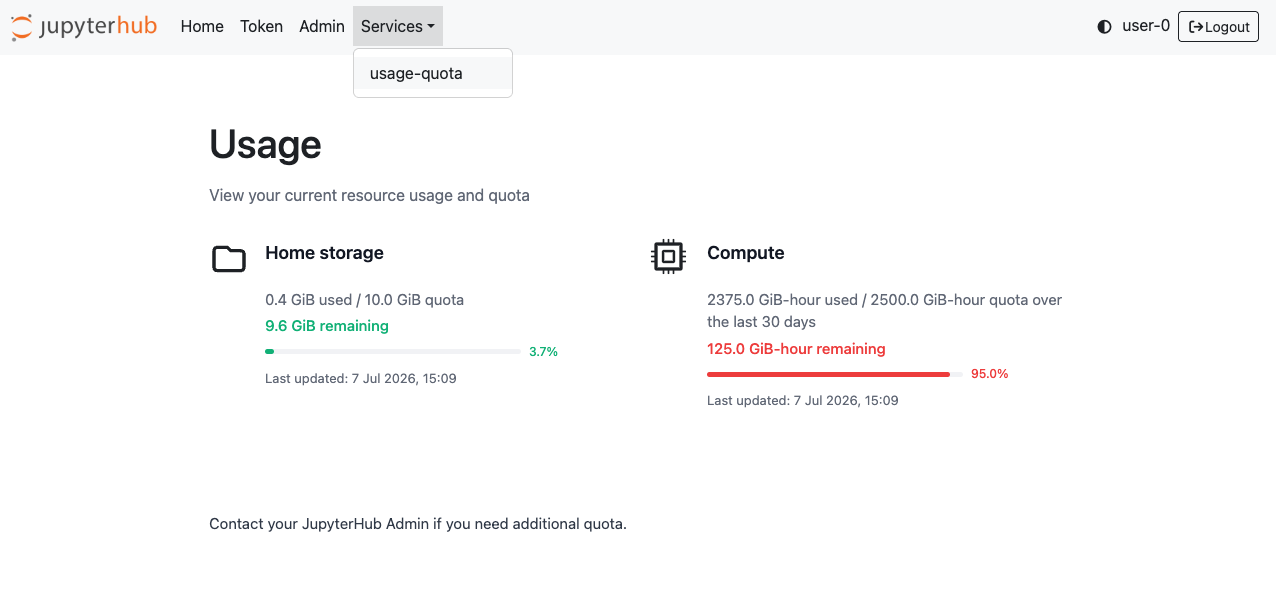 Screenshot of usage and quota dashboard viewer